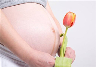 孕婦不能養什么花草 孕婦適合養哪些花草(適合孕婦養的花草名單)